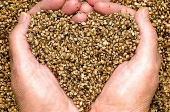 Worldwide Industrial Hemp Industry to 2028 – Rising Awareness of Several Nutritional Benefits of Hemp Seeds is Primarily Driving Growth