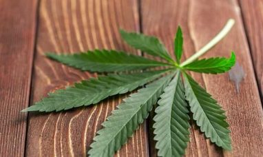 Relvas v. Auxly Cannabis Group Inc.- Settlement Appr...