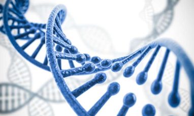 DNA Sequencing Market size to grow by USD 10.69 bill...