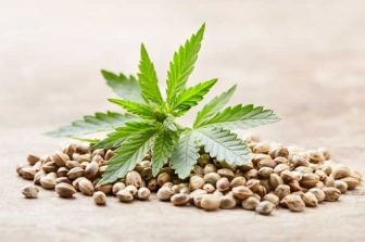 Industrial Hemp Market size worth USD 23.20 Billion, Globally, by 2030 at 14.05% CAGR: Verified Market Research®