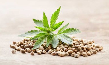 Industrial Hemp Market size worth USD 23.20 Billion,...