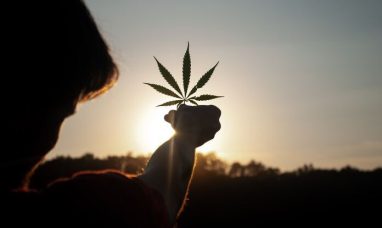 Canopy Growth Pursues Bankruptcy Protection for BioS...
