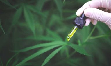 Cannabis Testing Market to grow by USD 1.50 billion ...