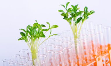 Biotechnology reagents market size to increase by US...