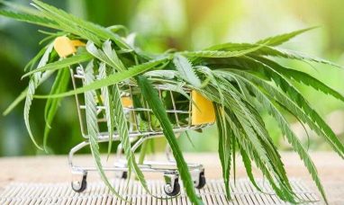 CBD-infused Cosmetics Market to increase by USD 4.64...