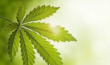MTL Cannabis Corp. Announces Extension of Indebtedne...