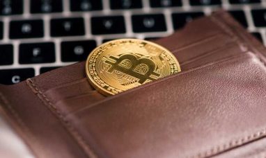 Grow Your Wealth: BITLION Foundation Launches Crypto...