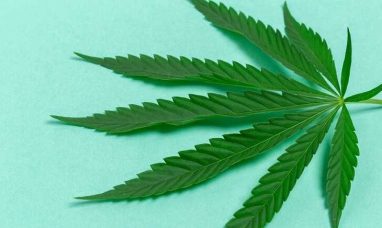Brandon Curran Joins Needham Bank’s Cannabis B...