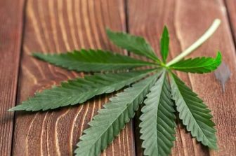 Can NJ’s Cannabis Market Overtake New York? Find Out At The Benzinga Cannabis Market Spotlight Event