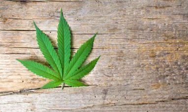 IM Cannabis Announces Appointment of Shmulik Arbel t...