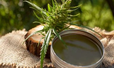 Illinois Hemp Business Owners Urge Lawmakers to Reje...