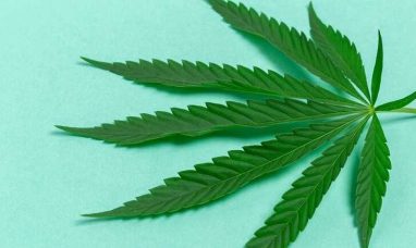 Barney’s Farm Expands U.S. Operations, Strengt...