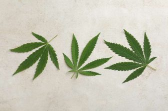 PerfectVape Launches Loyalty Program Offering Special Discounts and Rewards to Frequent Shoppers