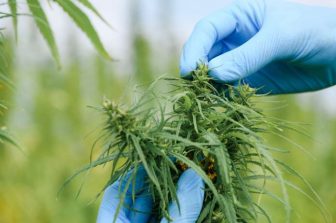 Aurora Announces Distribution Partnership with Leafio Australia