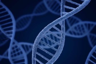 CARsgen Submits Dual IND Applications for Allogeneic BCMA CAR-T Product CT0596