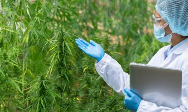 LeafLink Marks a Decade of Powering Cannabis Commerc...