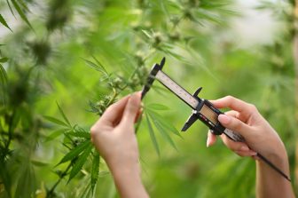 Illinois Action Center: Major Cannabis Reform Could Move Forward in Illinois Under HB 5784