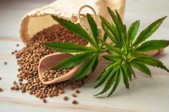 High Tide Announces Adoption of New Shareholder Rights Plans