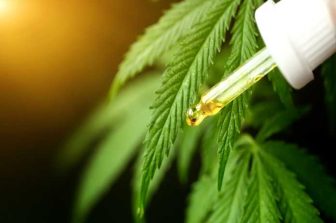 Mfused Introduces LIVE: A New Standard for Premium Cannabis Vapes