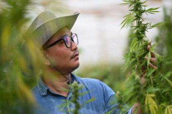 Medical Marijuana Market Surges Toward $130B+ as Global Demand Accelerates