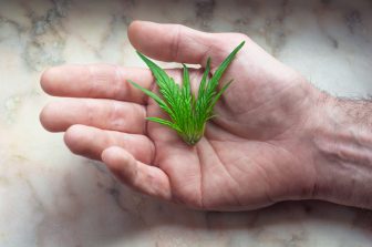 Sunmed™ || Your CBD Store® Applauds President Trump’s Endorsement of Full Spectrum CBD and Call to Repeal Restrictive Hemp Bans